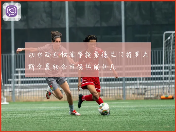 切尔西利物浦争抢桑德兰门将罗夫斯今夏转会市场热闹非凡